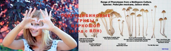 мет Богородск
