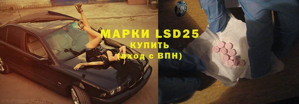 твердый Богданович