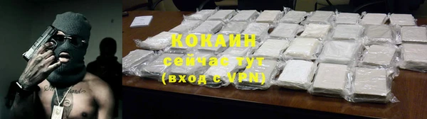 индика Ступино