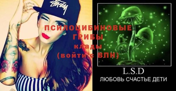 марки lsd Богородицк